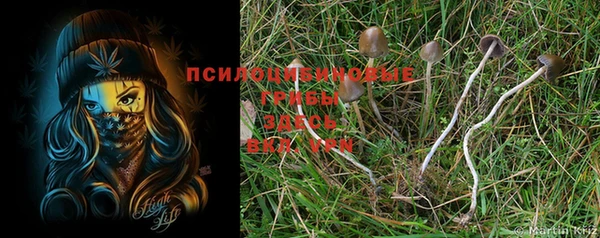 jwh Нефтекумск