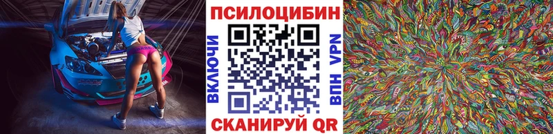купить  цена  Усть-Лабинск  Псилоцибиновые грибы мицелий 