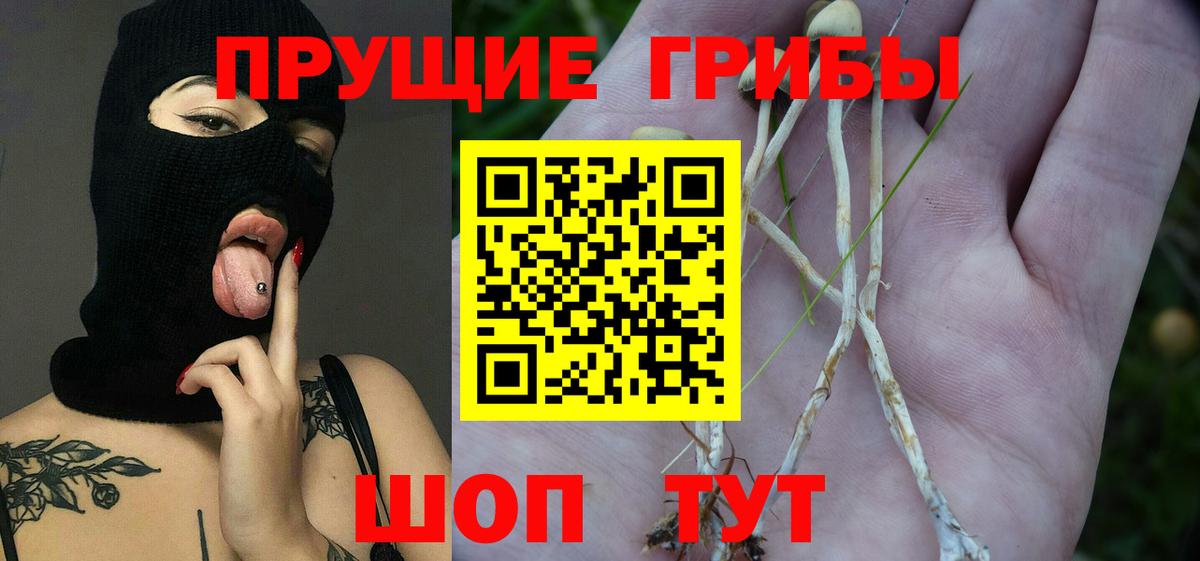 Усть-Лабинск  Галлюциногенные грибы ЛСД  Вход с VPN 